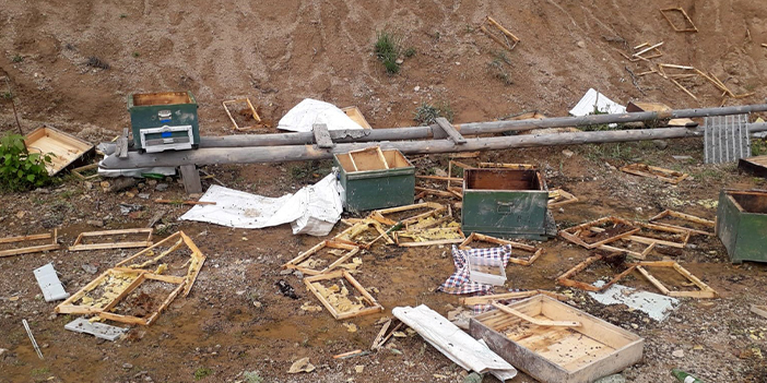 Gümüşhane'de ayılar çitin altını kazarak girdikleri alandaki kovanları parçaladı