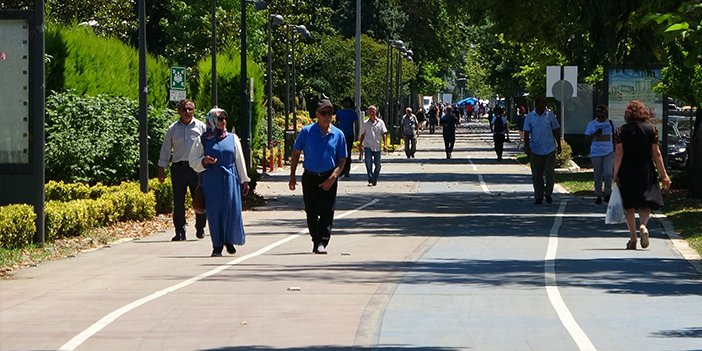 Ordu'da afetin izleri silindi, hayat normale döndü