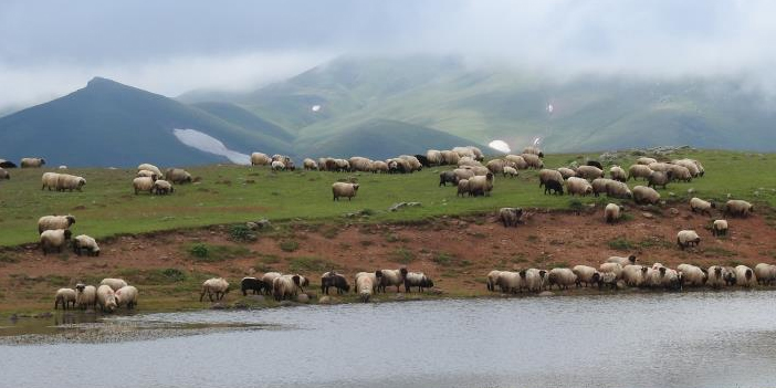 giresun-mera-islah-projesi-1.jpg