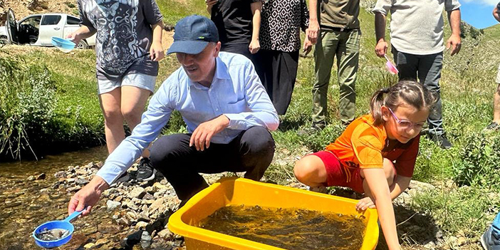 Ordu'da derelere 50 bin yavru alabalık bırakıldı