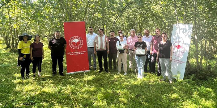 Rize’de kahverengi kokarcaya karşı biyolojik mücadele