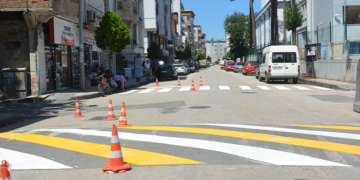 Ordu’da yaya geçitleri ve kasisler yeniden boyandı