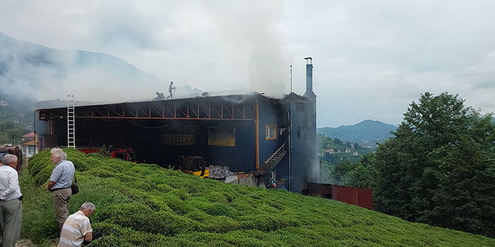 Rize'de çay fabrikasında yangın! 1 kişi dumandan etkilendi