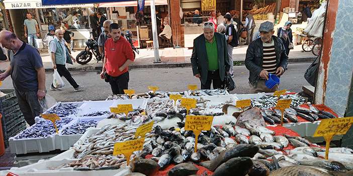 Bu yıl hamsi yılı! Kilosu 50 TL'ye kadar düştü