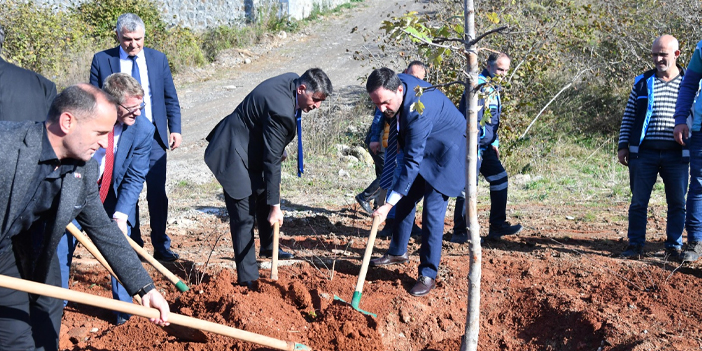 Trabzon'da fidanlar toprakla buluştu! 107 adet fidan dikildi