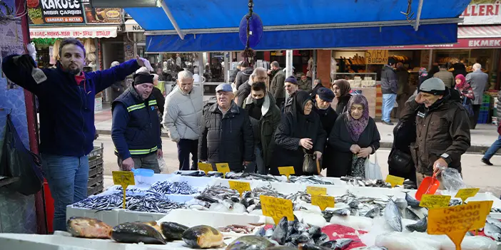 Hamsi ucuzladı! Vatandaş birbiriyle yarıştı