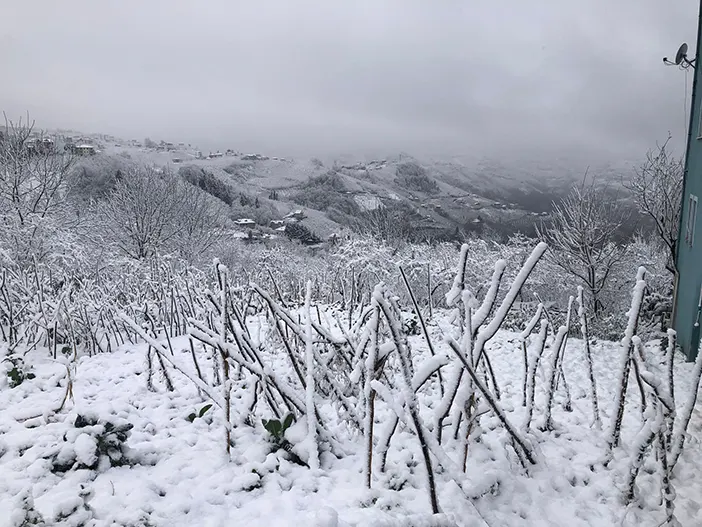 trabzona-beklenen-kar-geldi-meteoroloji-uyarmisti-003.webp