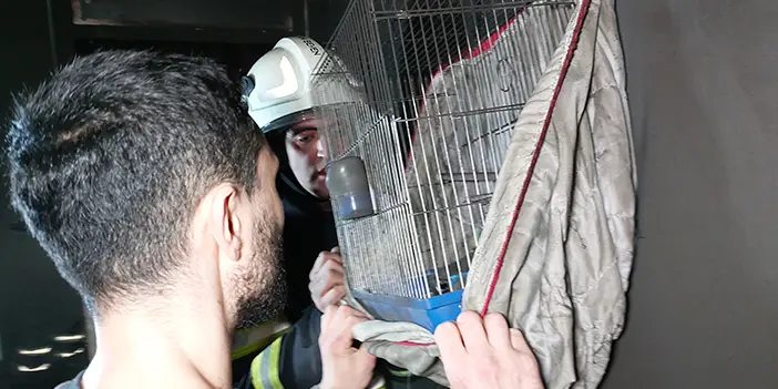 Samsun'da  kuşları ve kedileri telef olan kadın gözyaşlarına boğuldu