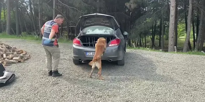 Samsun'da Narkotik dedektör köpeği araca zulalanmış uyuşturucu buldu! 12 gözaltı