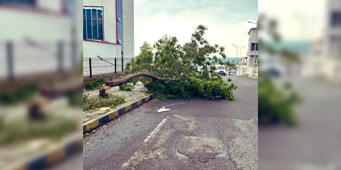 trabzon-firtina-1.webp