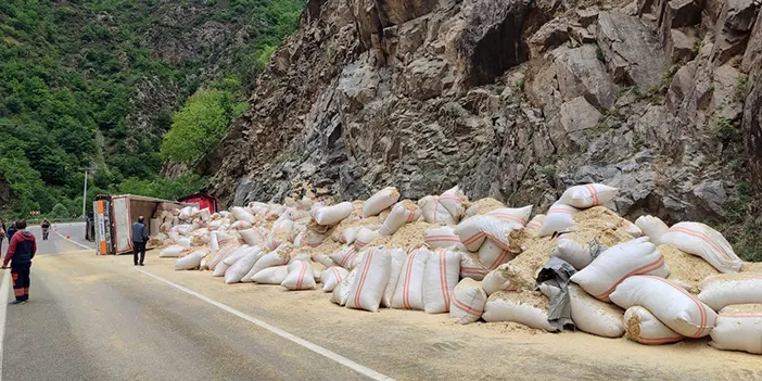 Gümüşhane'de saman yüklü tır devrildi! 1 kişi yaralandı