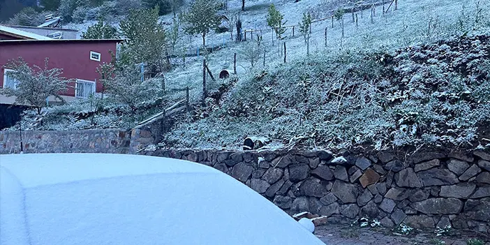 Aralıksız yağış yerini kara bıraktı! Gümüşhane beyaza büründü 