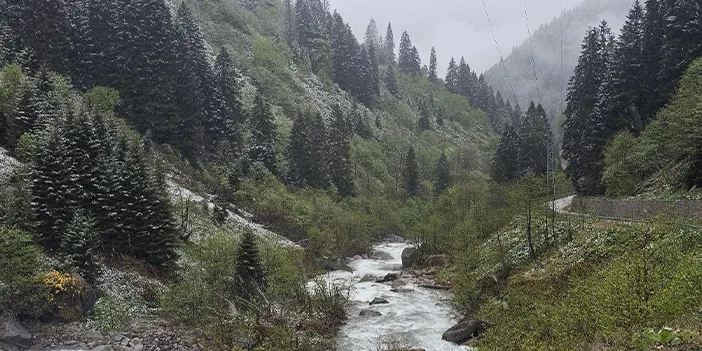 Rize'de yüksek kesimler beyaza büründü 