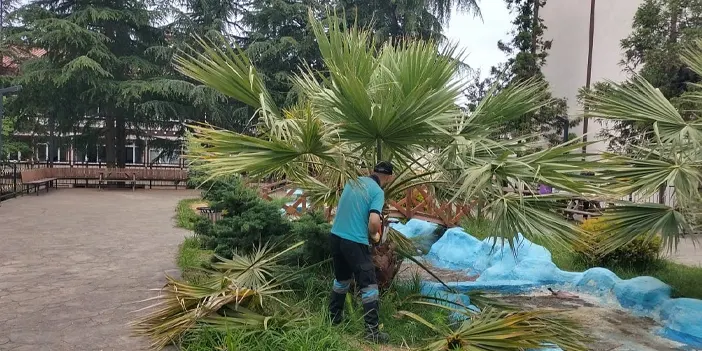 Ortahisar Belediyesi şehri yaz mevsimine hazırlıyor