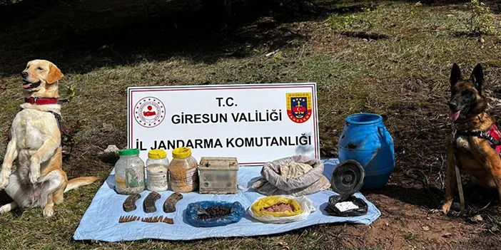 Giresun'da terör operasyonu! Sığınak kullanılamaz hale getirildi