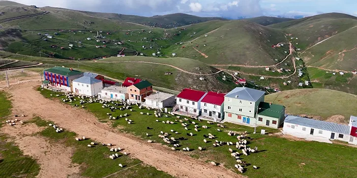 Trabzon yaylaları apartmanlarla doldu! “Her taraf betonarme“