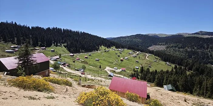 Doğu Karadeniz'de havalar ısındı yayla göçleri başladı