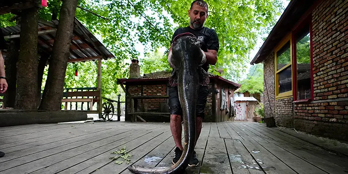 Düzce'de balıkçının oltasına takılanı görenler şaştı kaldı!