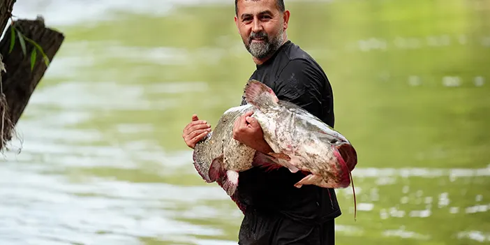 Düzce'de balıkçının oltasına takılanı görenler şaştı kaldı!