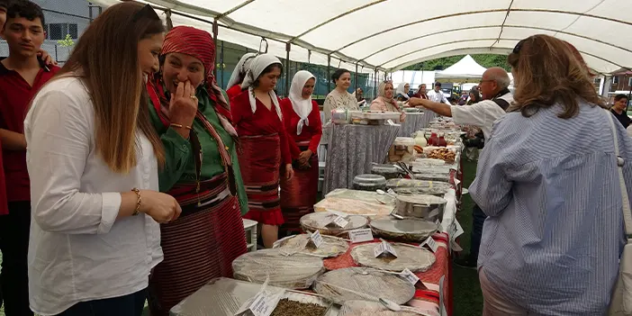 Giresun'da fındık yaprağından sarma! 