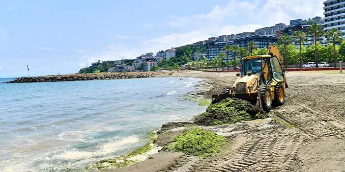 Trabzon'da çevre temizliği için kollar sıvandı! Plajlar denize girilebilir hale getiriliyor