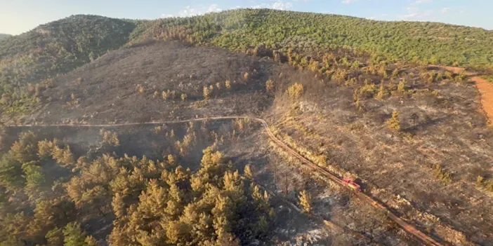 Muğla'da alevler 18 saat sonra kontrol altında! İlçe küle döndü 