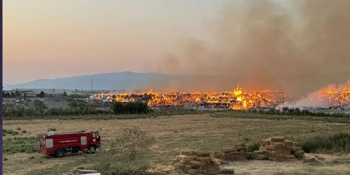 Aydın'da kağıt fabrikası küle döndü! 