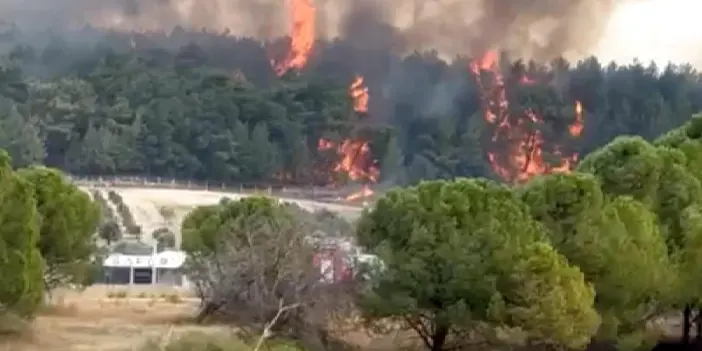 İzmir'de orman yangını! Müdahale sürüyor 