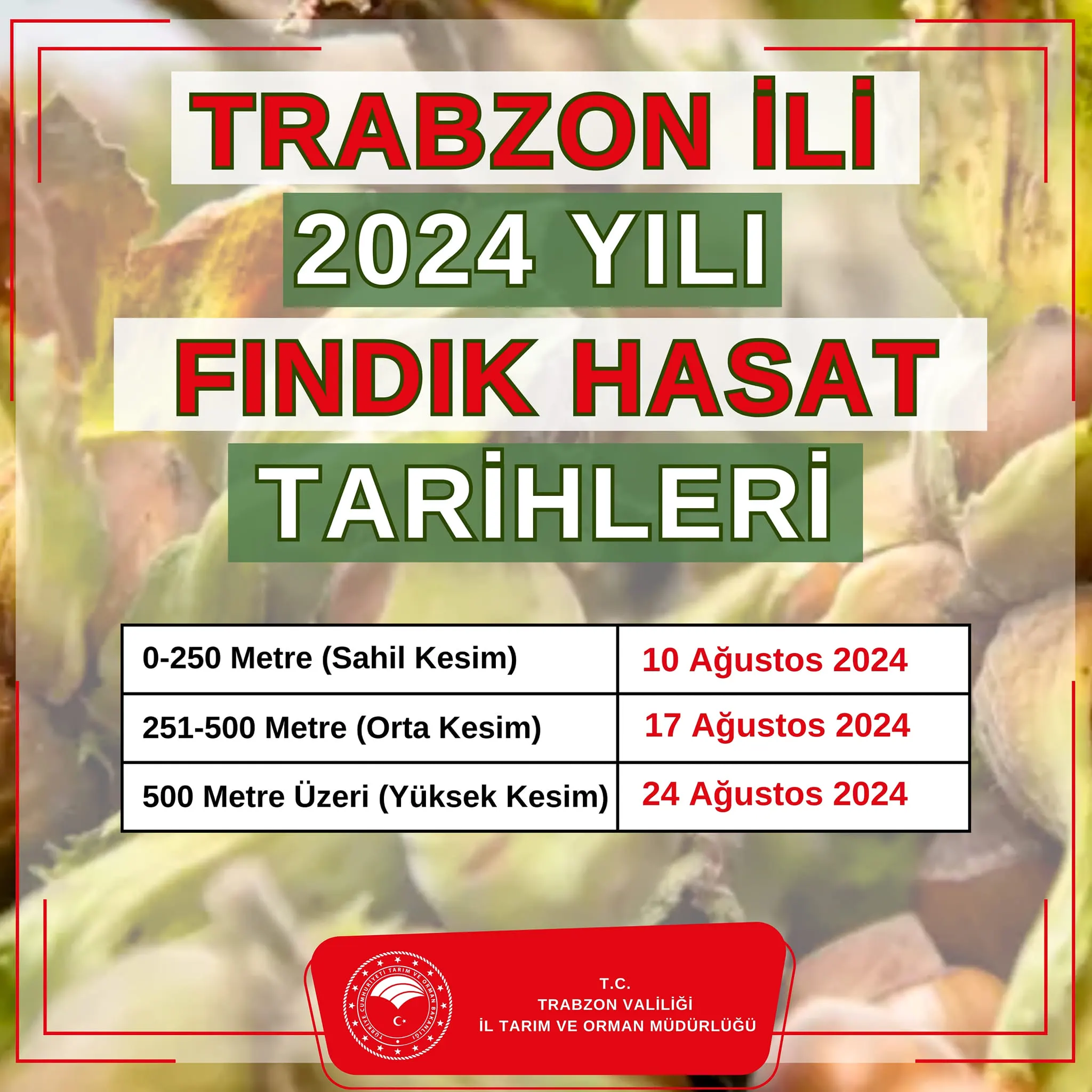 trabzon-findik-hasat-tarihleri.webp