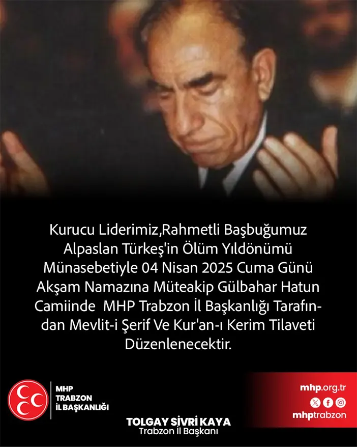 tolgay.webp