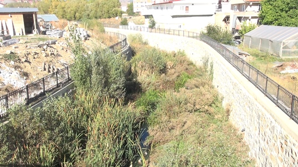 Gümüşhane'de yatağında ağaçların yetiştiği derede 'taşkın' riski