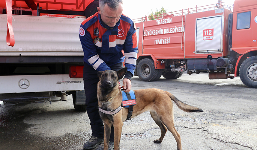 Trabzon'dan deprem bölgesine getirilen 'Rita' 3 kişi ve bir kedi kurtardı