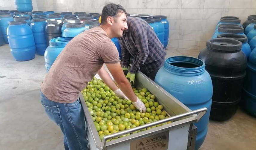 Bayburt'ta belediyenin kurduğu fabrika işçiye de çiftçiye de kazandırıyor