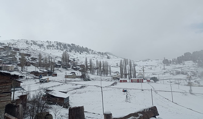 Artvin'in yüksek kesimleri beyaza büründü