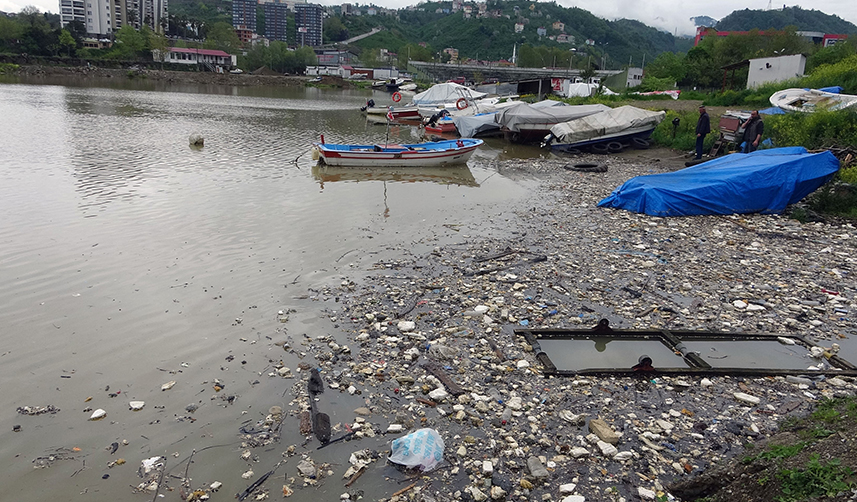 Giresun'da balıkçılar kirlilikten şikayetçi